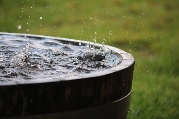 Rain Water Harvesting