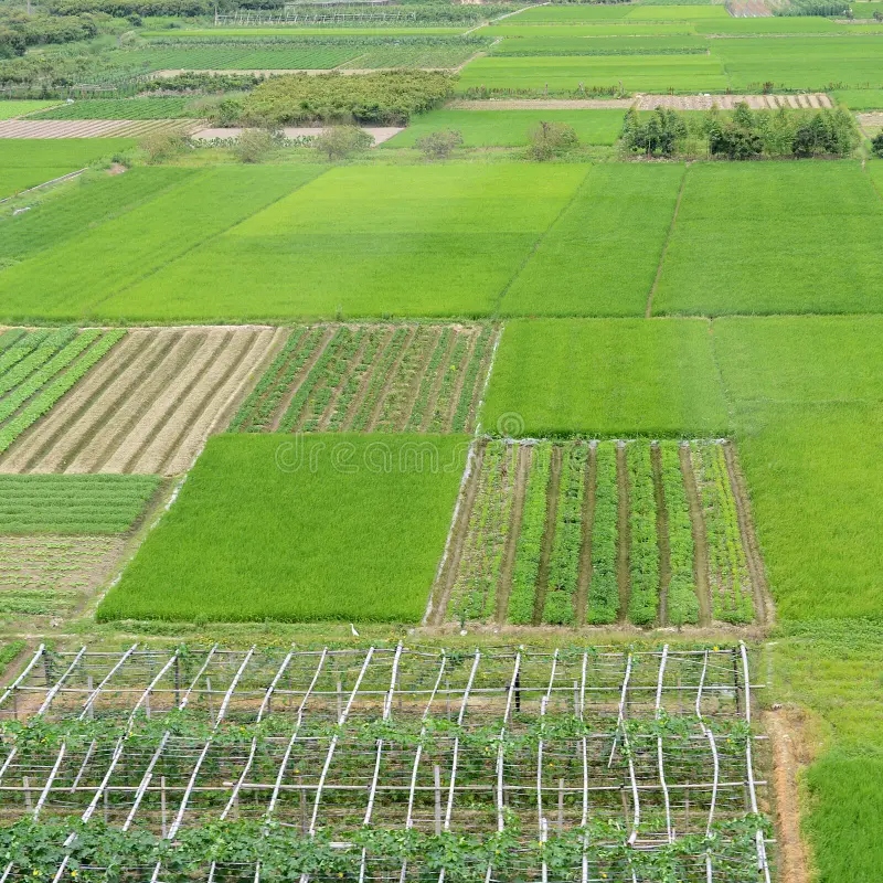 Agricultural & Investment Lands